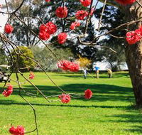 The Yass Golf Club - Attractions Brisbane