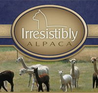 Marchmont Park Alpacas - Attractions Brisbane