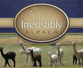 Marchmont Park Alpacas - Attractions Brisbane 0
