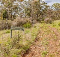 Old Mountain Road Walking Track - Attractions Brisbane