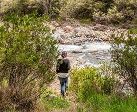 Old Mountain Road Walking Track - Attractions Brisbane 1