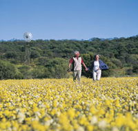 Koolanooka Springs - Attractions Brisbane