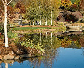 The Water Garden At Mayfield Garden - Attractions Brisbane 1