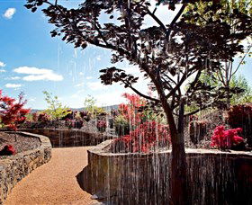 The Water Garden At Mayfield Garden - Attractions Brisbane 2