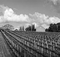 Willow Creek Vineyard - Attractions Brisbane