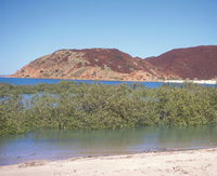 Hearsons Cove