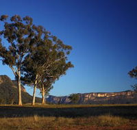 Capertee Valley Bird Trail - Attractions Brisbane