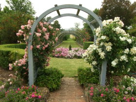 Harrow Gardens - Attractions Brisbane 2