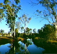 Dingo Creek Park - Attractions Brisbane
