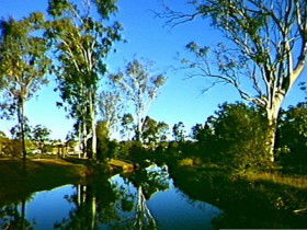 Dingo Creek Park - Attractions Brisbane 0