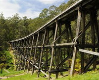 Noojee Trestle Bridge