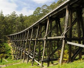 Noojee Trestle Bridge - Attractions Brisbane 0
