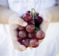 Granitevale  Estate Winery - Attractions Brisbane