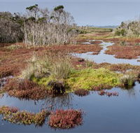 French Island National Park - Attractions Brisbane