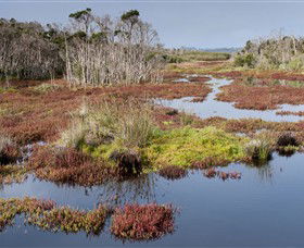 French Island National Park - Attractions Brisbane 0