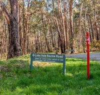 Lobs Hole Ravine 4WD Trail - Attractions Brisbane