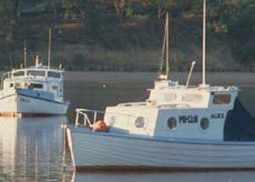 Western Port - Attractions Brisbane 0