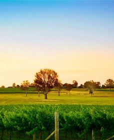 Canberra District Wineries - Attractions Brisbane 0