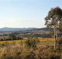 Yarrh Wines - Attractions Brisbane