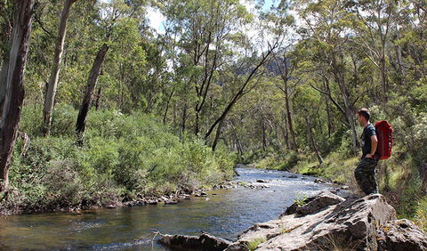 Yarrangobilly Caves - Attractions Brisbane 1