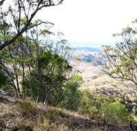 Boat Mountain Conservation Park - Attractions Brisbane