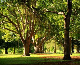 Queens Park, Toowoomba - Attractions Brisbane 1