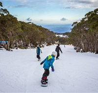 Mt Baw Baw Alpine Resort - Attractions Brisbane