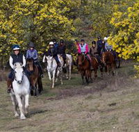 Burnelee Excursions on Horseback - Attractions Brisbane