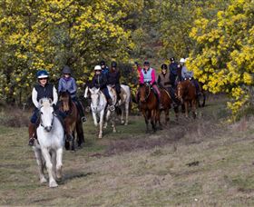 Burnelee Excursions On Horseback - Attractions Brisbane 0