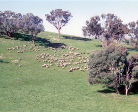 Burnelee Excursions On Horseback - Attractions Brisbane 2
