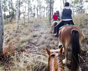 Burnelee Excursions On Horseback - Attractions Brisbane 1