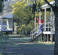Dryandra Woodland - Attractions Brisbane
