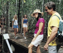 Toowoomba Water Bird Habitat - Attractions Brisbane 1