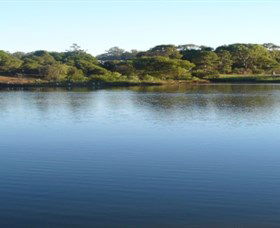 Toowoomba Water Bird Habitat - Attractions Brisbane 2