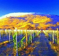 Surveyors Hill Winery - Attractions Brisbane
