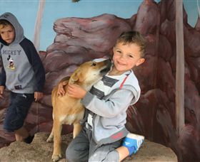 Maru Koala And Animal Park - Attractions Brisbane 3