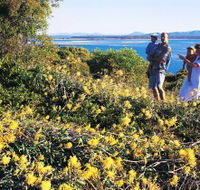 Joseph Banks Conservation Park - Attractions Brisbane
