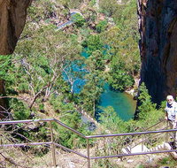 Carlotta Arch walking track - Attractions Brisbane