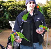 Canberra Walk In Aviary - Attractions Brisbane