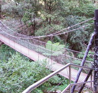 Jenolan River walking track - Attractions Brisbane