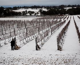 Savina Lane Premum Wines - Attractions Brisbane 2