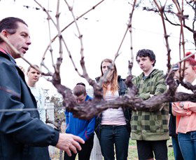 Varias Restaurant And Conference Centre Incorporating Banca Ridge Winery Cellar Door - Attractions Brisbane 3