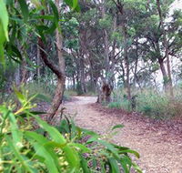 Mount Mutton Walking Trail - Attractions Brisbane