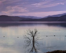 Scone NSW Attractions Brisbane