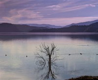 Book Scone Accommodation Vacations Attractions Brisbane Attractions Brisbane