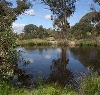 Cooleman Ridge - Attractions Brisbane