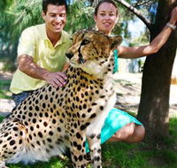 National Zoo  Aquarium - Attractions Brisbane