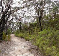 Six Foot walking track - Attractions Brisbane