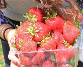 Mia Cucina Walking Food Tours - Attractions Brisbane 5