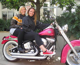 Wild Ride Harley And Motorcycle Tours - Attractions Brisbane 0